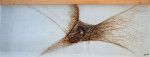 Dino Durigatto