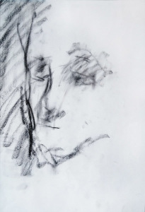 no-1554-toni-franovicportret-slikara-ugljen-na-papiru-dim-42x30-cm-2013