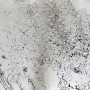 _DSC9326_0042