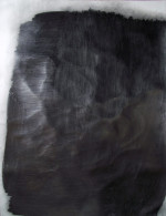 DSCF1187