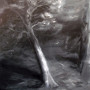 DSCF1203